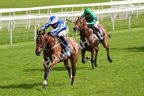 yr13052021r5-13 - Race 5 3.40pm British Stallion Studs EBF Westow Stakes