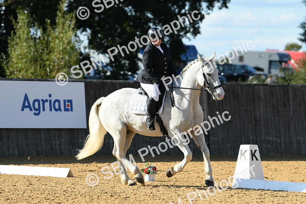 SBM_27268 - D16 - Small Tour Championship - Novice 28