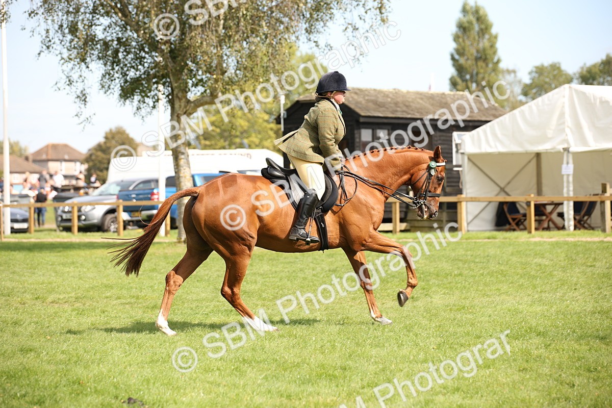 SBM_66008 - S64 - Riding Horse & Hack & Thoroughbred Ridden