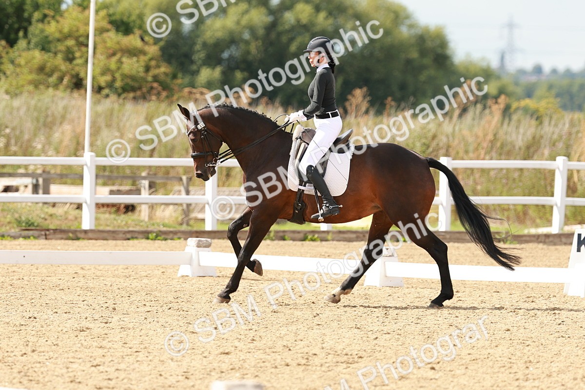 SBM_002471 - Class 11 - Medium 6