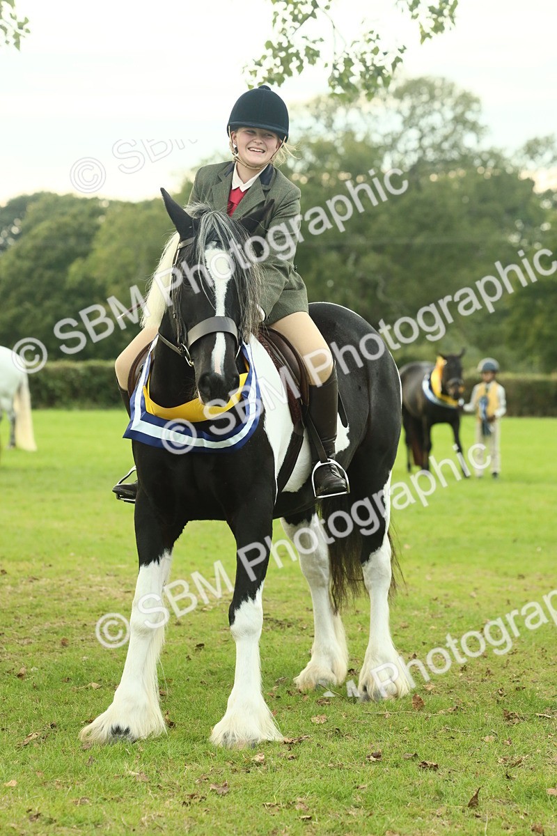 SBM_75292 - Super Supreme Championship