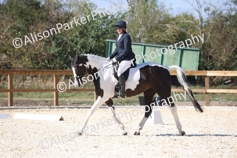 20260905-1562 - Class 5 - Novice 2