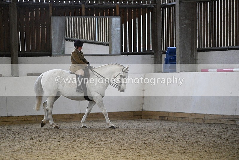WJ5_8887 - Class 15 Ridden Show Horse