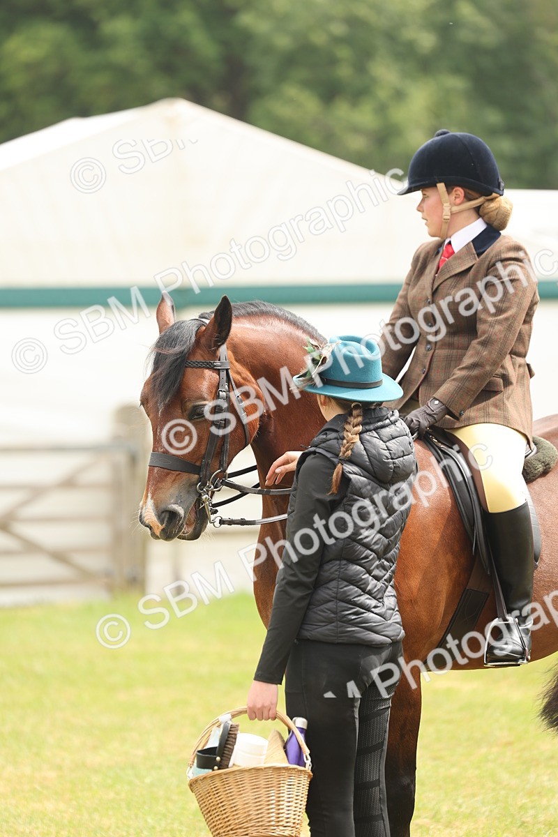 SBM_07217 - Class 76-77 - Ridden M&M Welsh Ponies