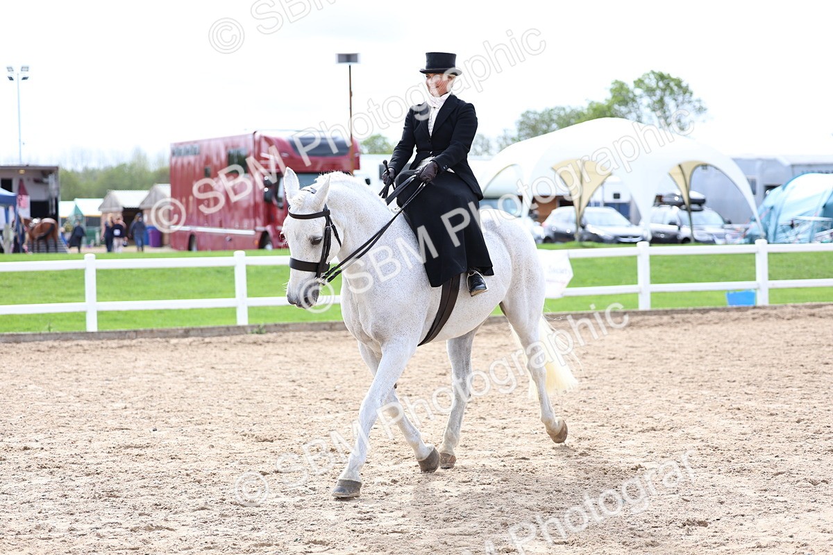 SBM_03453 - Class 24 - SSA Concours d'elegance (any age)