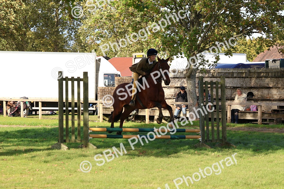 SBM_52550 - S13 - Pony Club Pony