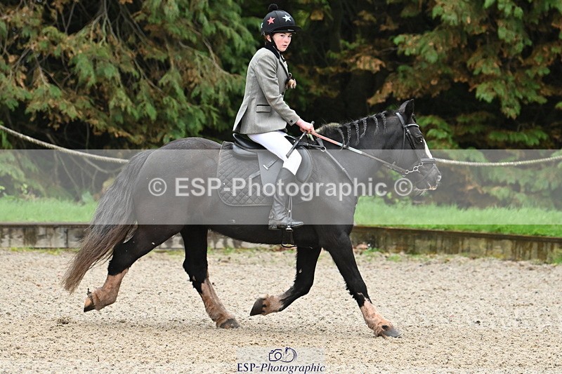 250418A-081408-00053 - NSEA GR 40cm and 50cm