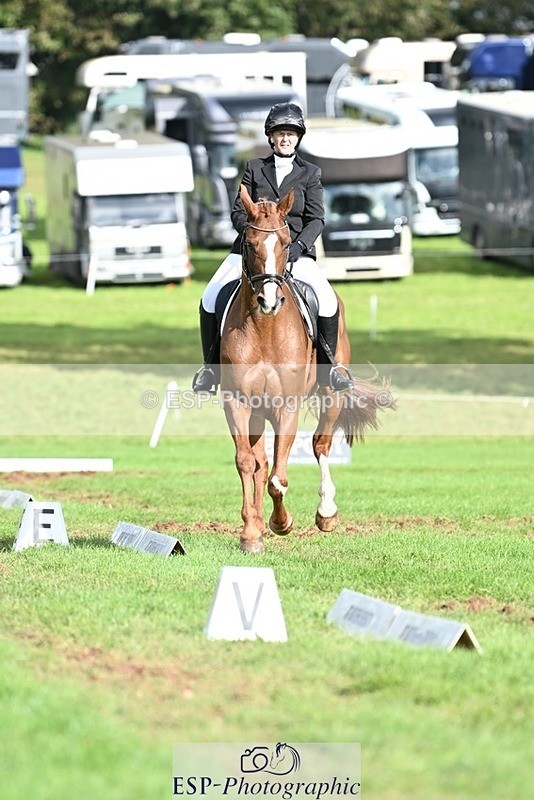231020-121046-08015 - 484-JESATRAN.FIRECRACKER-Sally.Morton-DR