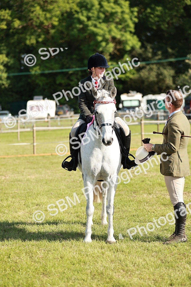 SBM_19338 - Class 115-116 - LIHS BSHA Rising Star Working Hunter & Show Horse