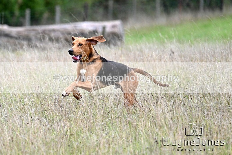 WJ7_3604 - Edited examples