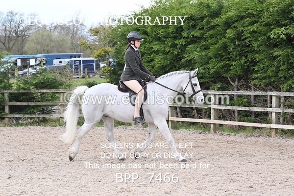 BPP_7466 - RING 1  (RIDDEN HORSES / IN HAND / VETERAN ETC)