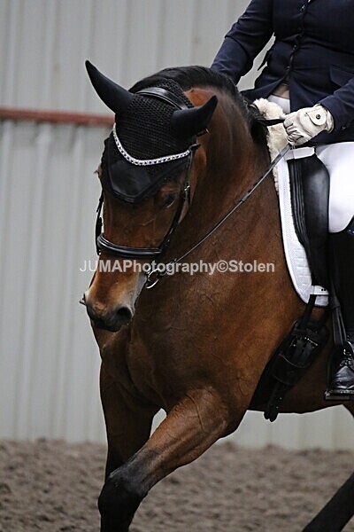 SIAL4891 - CAbin Dressage 5th july 2025