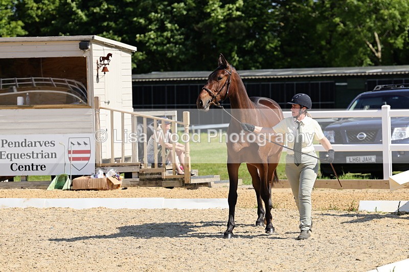 1X9A0778 - Class 4: Youngstock 1, 2, 3 year old to exceed 153cm