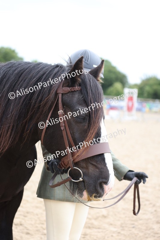 20250524-1022 - Class 9 - Cob and Hunter