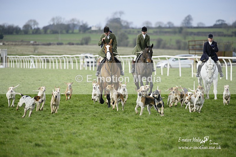 PtP 060322 316 - Blackmore & Sparkford Vale Hunt PtP 06/03/22