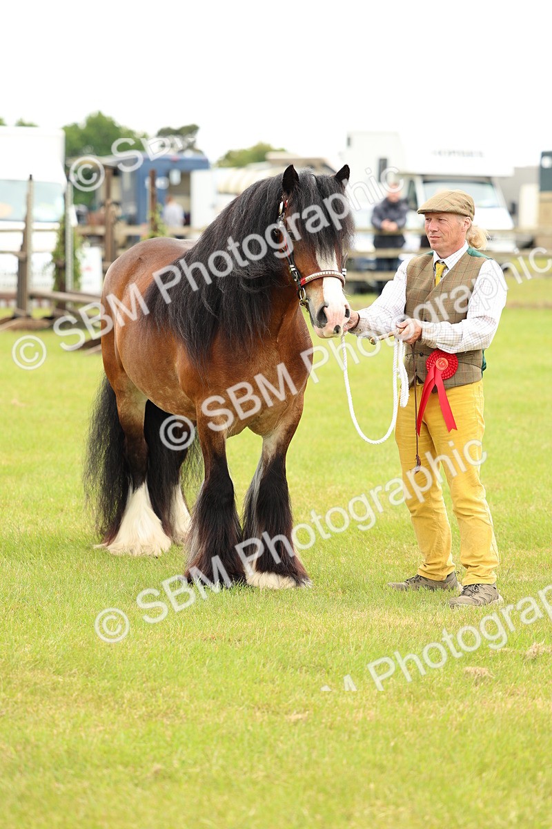 SBM_06297 - Class 39-41 TGCA In Hand and Ridden