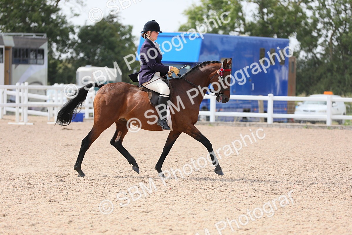 SBM_15584 - Class 311 Ridden Show Pony/ Show Hunter Pony