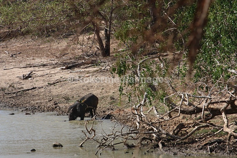  - Travel and culture