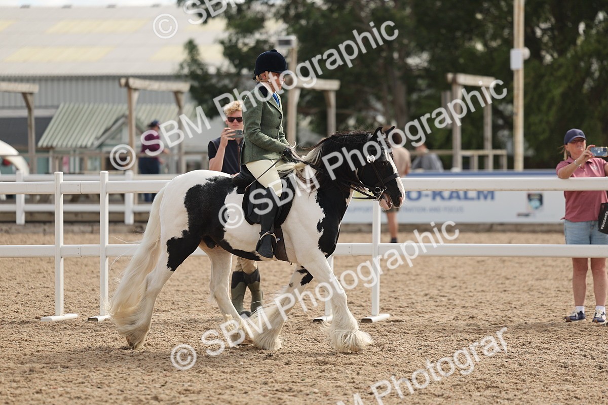 SBM_14624 - Class 307 - Ridden Coloured Pony