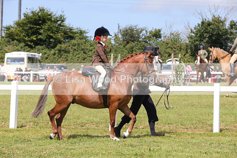 1X9A3833 - Plaited Mini Ridden Championship