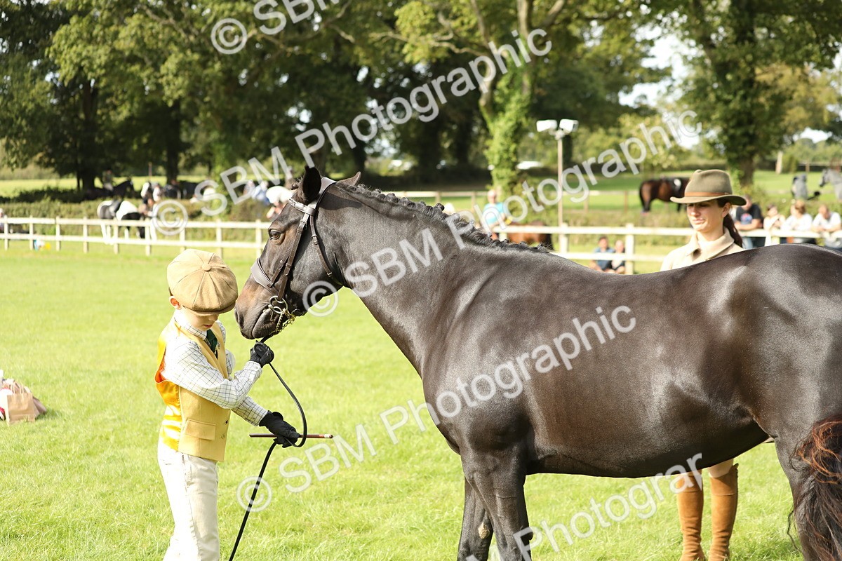 SBM_68686 - S40 - Junior Handler 9-12 Years