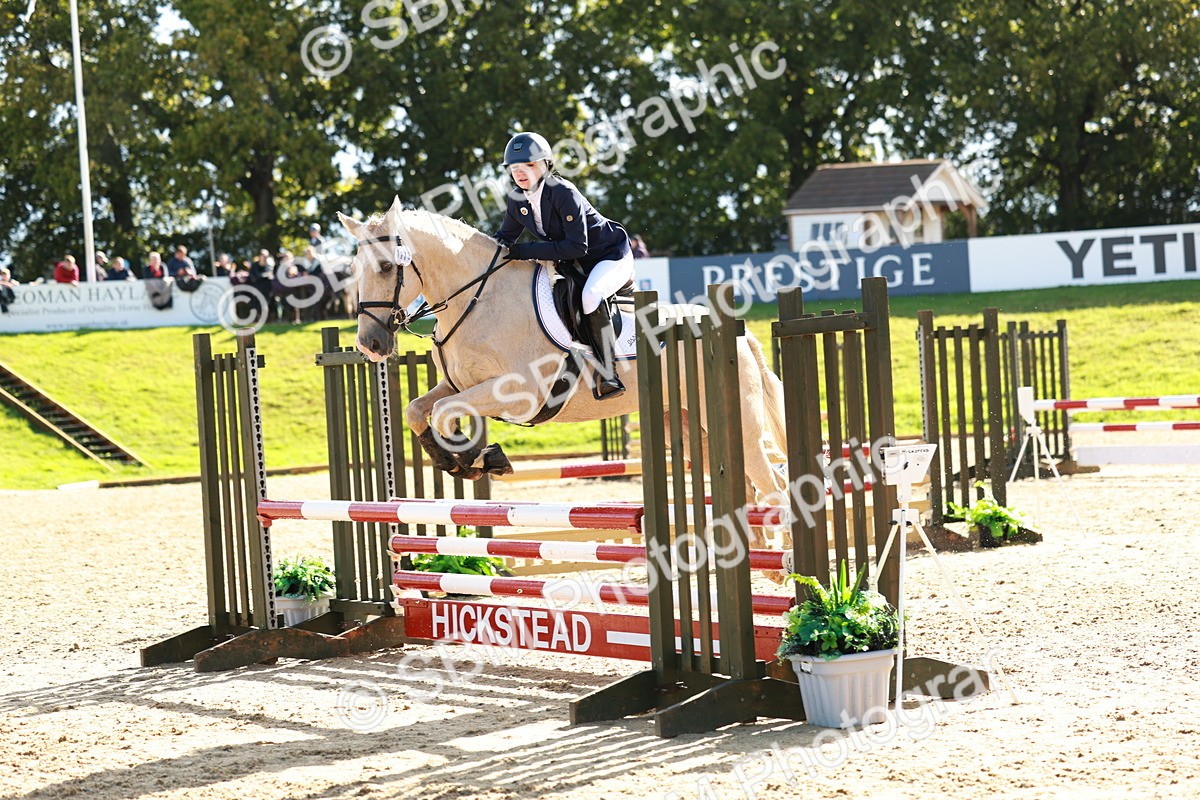 SBM_37927 - J39 - Senior Horse & Pony 85cm Championship