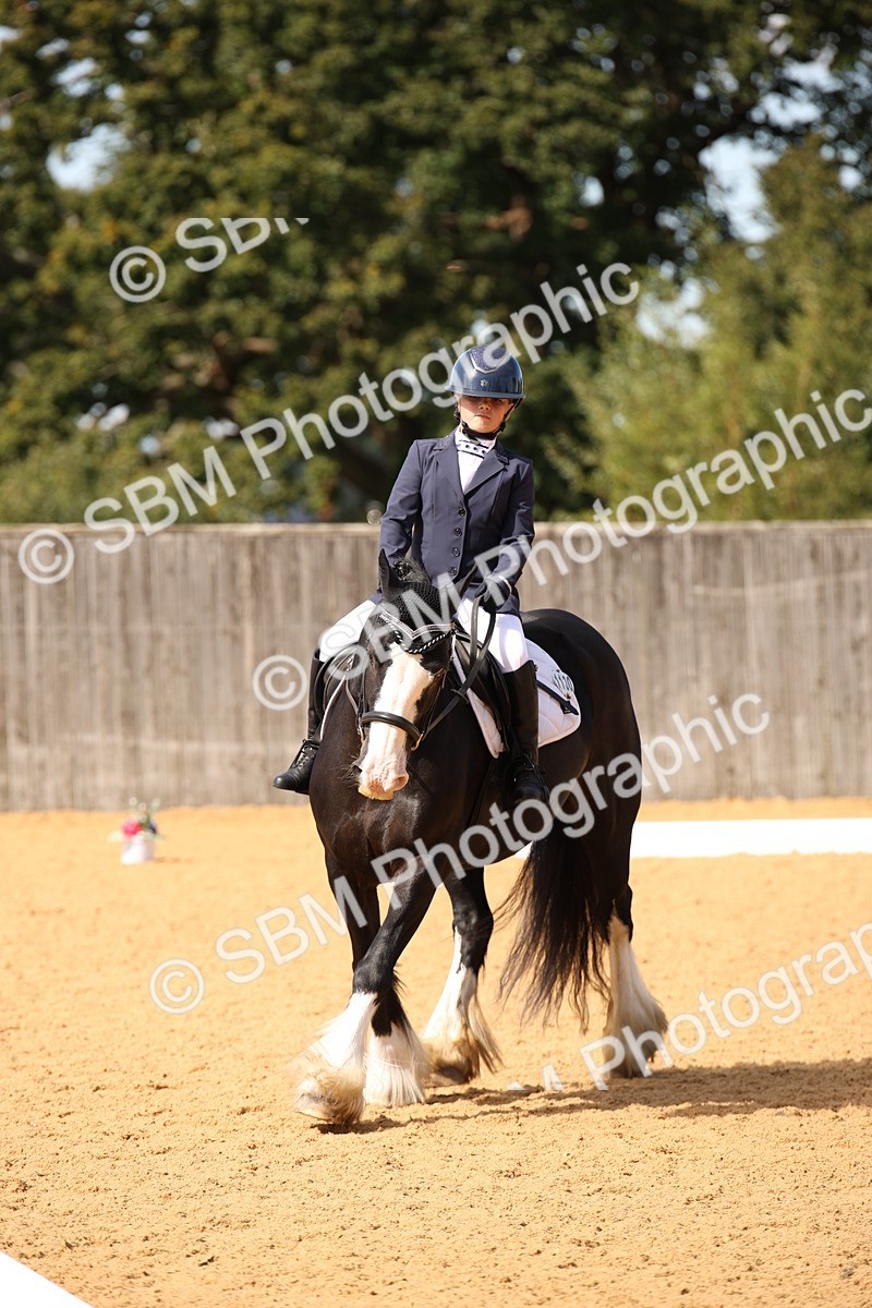 SBM_21733 - D5 - Small Tour Championship - Intro C