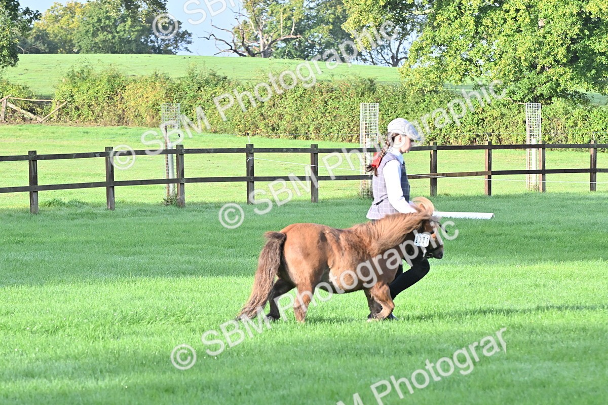 SBM_32577 - S15 - Top Turnout In Hand
