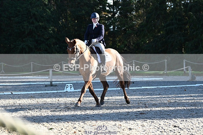 231110-131328-00884 - Cls 4 Novice 39Q