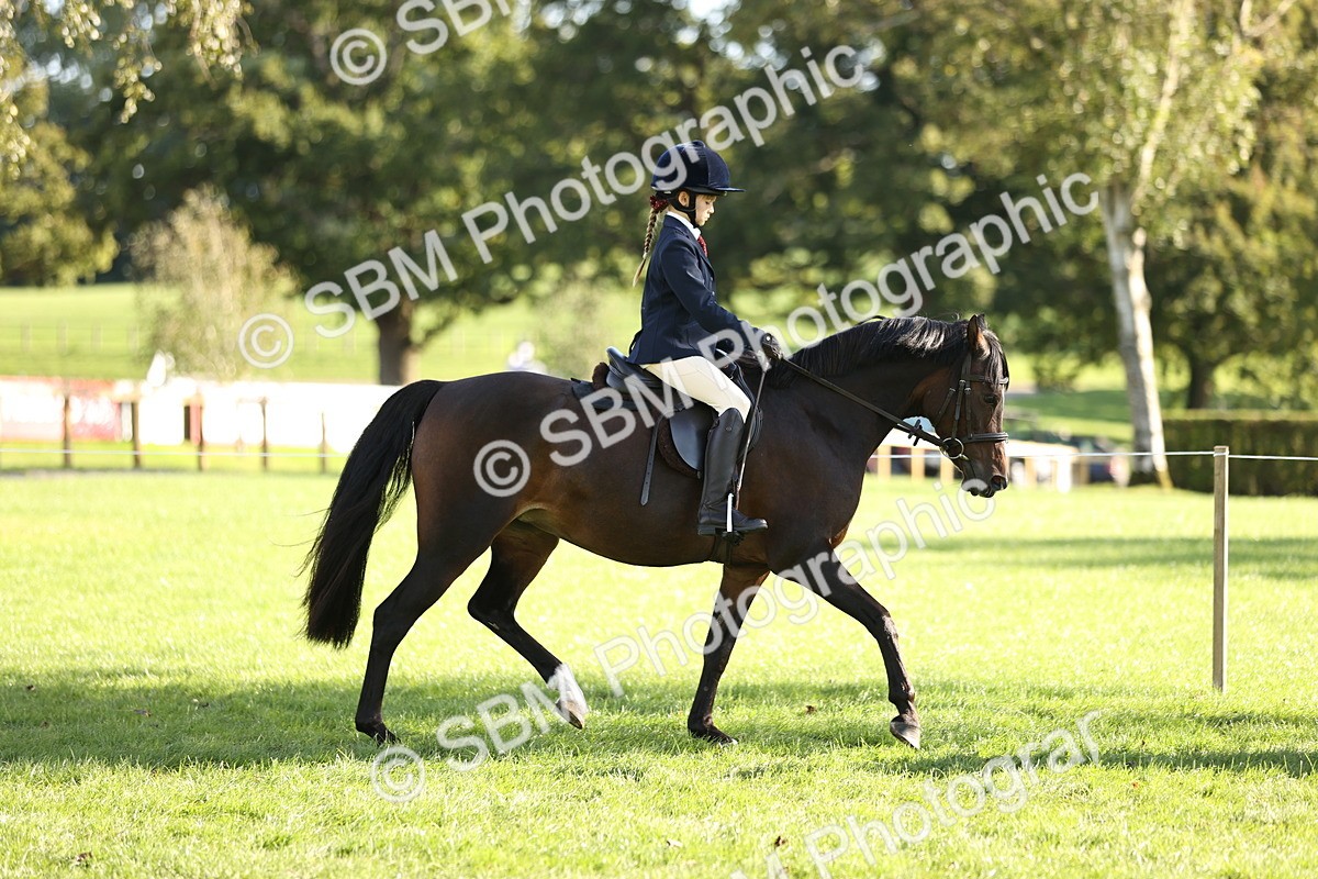 SBM_29317 - S7 - Novice & Newcomers Ridden Pony