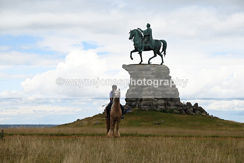 DSC_9571 - Time at Statue 15:11 to 15:58