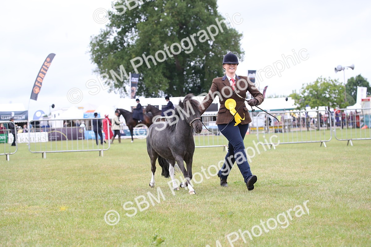 SBM_04028 - Class 23-25 - British Miniature Horse of the Year