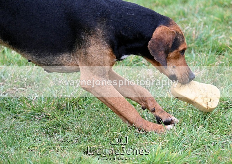 WJ7_7788 - Edited examples