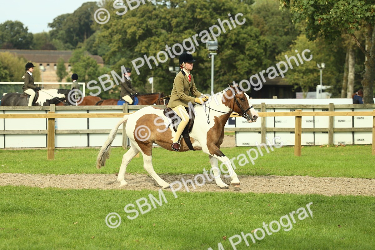 SBM_68128 - S57 - Part Bred Pony Ridden