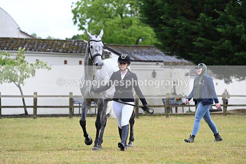 WJ7_6037 - Class 4a Prettiest Mare over 14hh