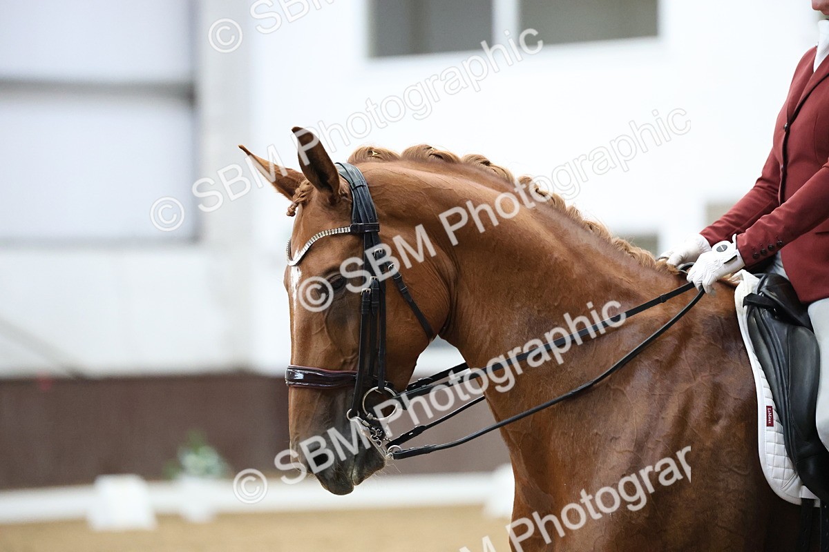 SBM_006654 - Class 22 - Medium 5 Silver