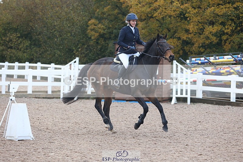 231112A-094055-03017 - Cls 17 Blue Chip Novice Winter Qualifier