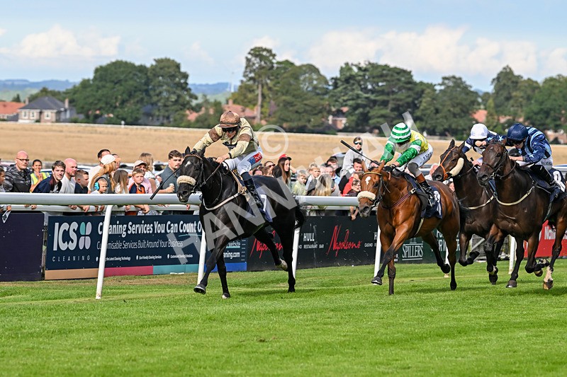 290725-Race 6-Jojo Rabbit-0993 - Race 6