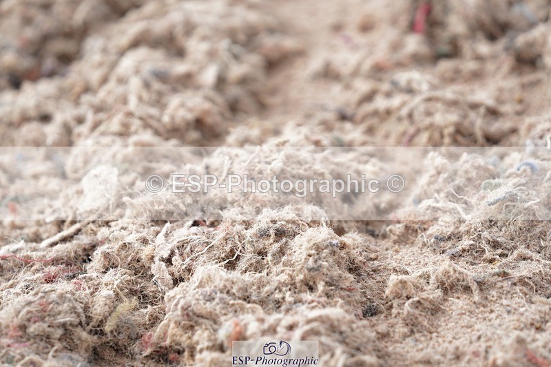 250322-125540-00407 - DR Elementary 2 Test