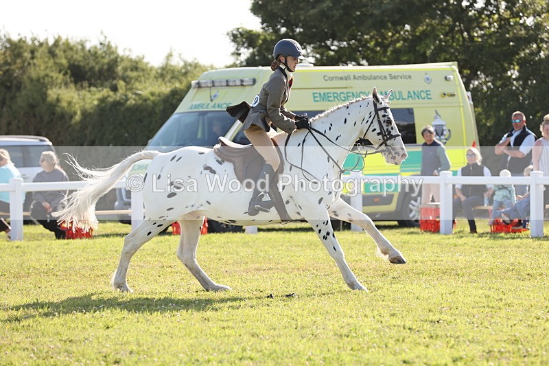 JPP_3179 - Class 21: Working Hunter 80cm