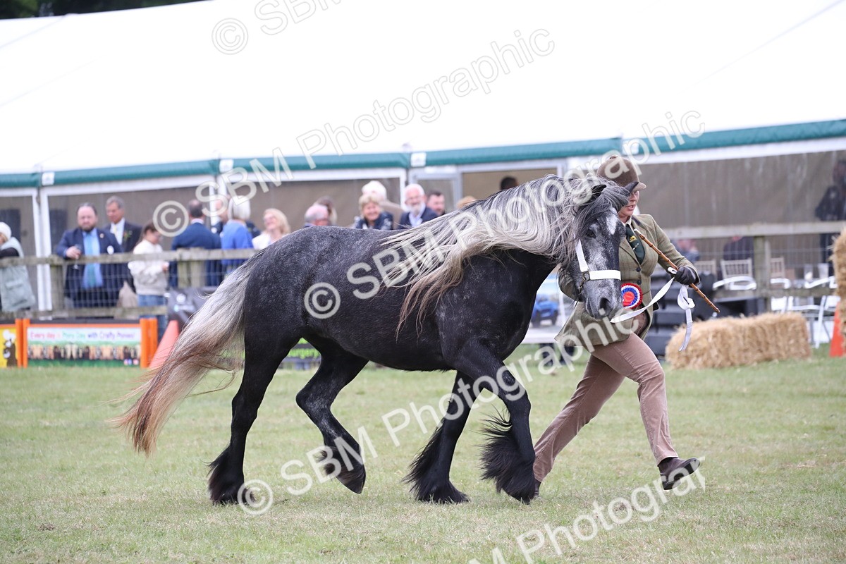 SBM_09858 - Ch 50 - Price Family Supreme In Hand