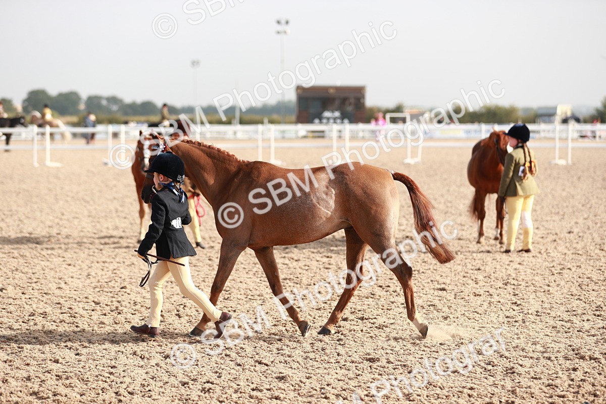 SBM_09888 - Class 203 Young Handler, 10 years and under