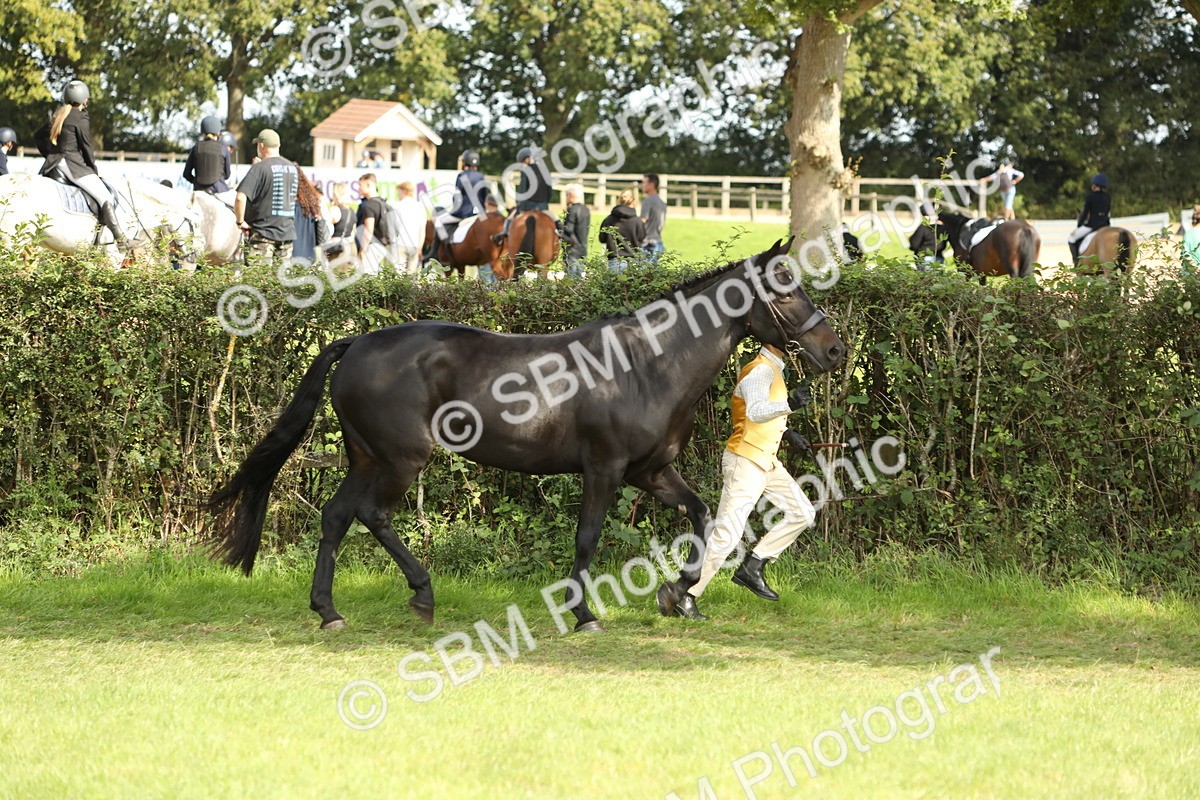 SBM_68565 - S40 - Junior Handler 9-12 Years