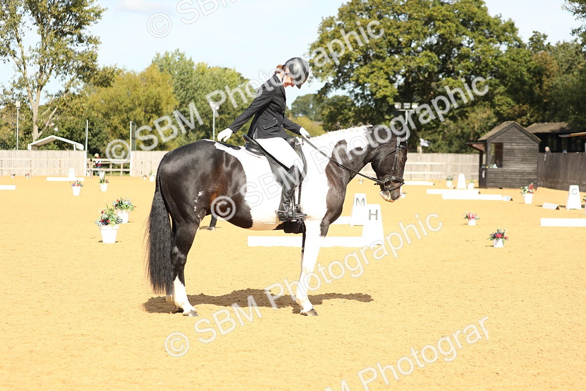 SBM_22187 - D17 - Grand Tour Championship - Novice 27