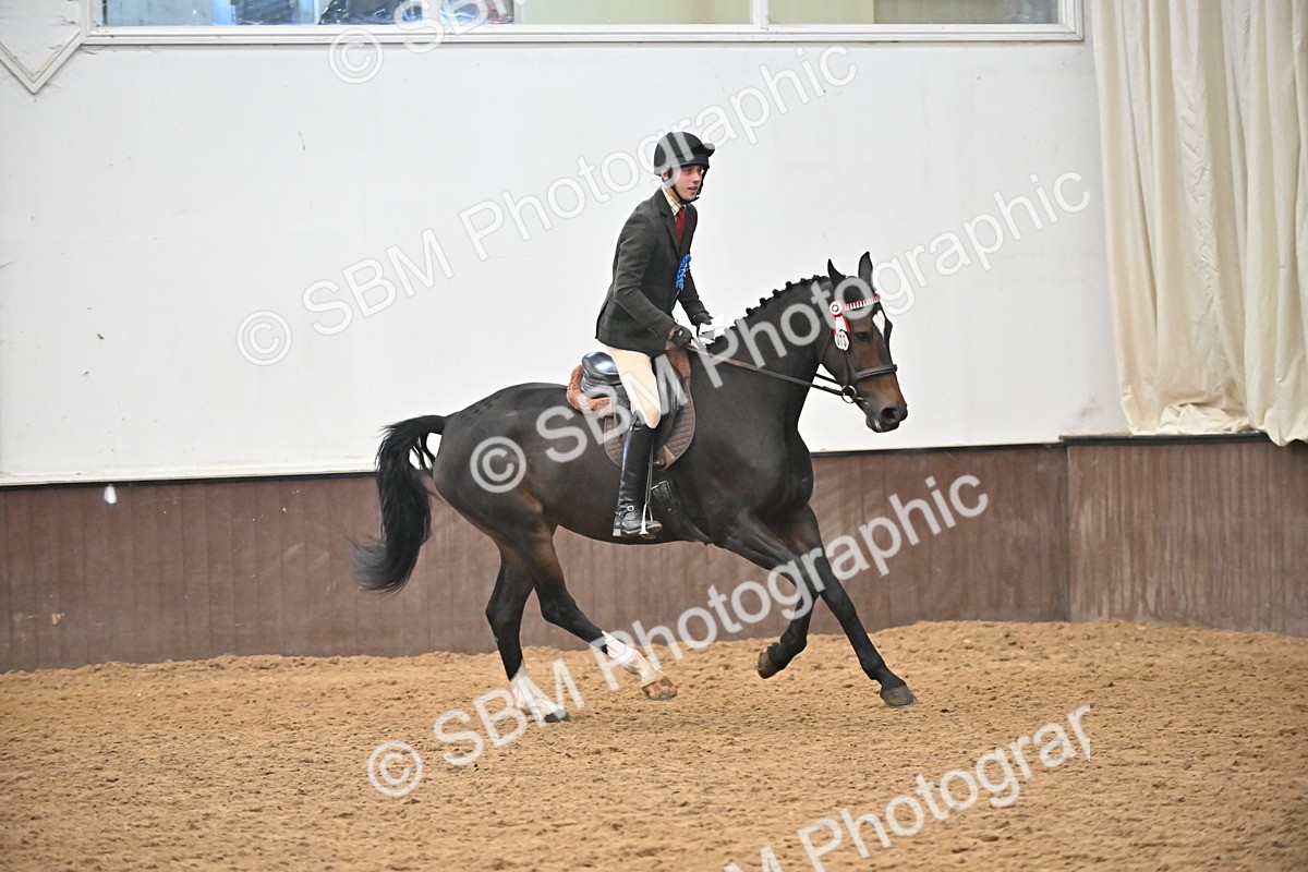 SBM_002414 - Class 22 - BSHA Ridden Hack & Riding Horse