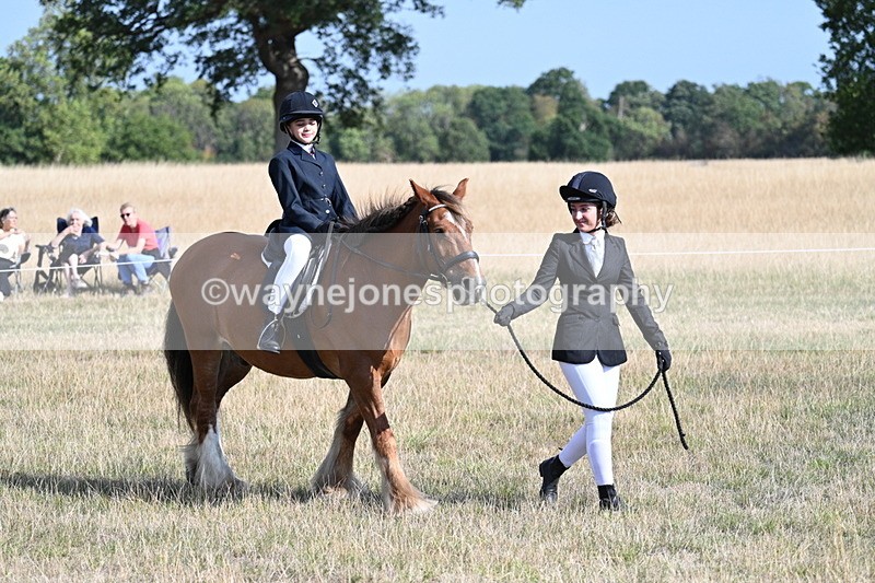 WJ7_2704 - Class 8 Ridden Tack & Turnout