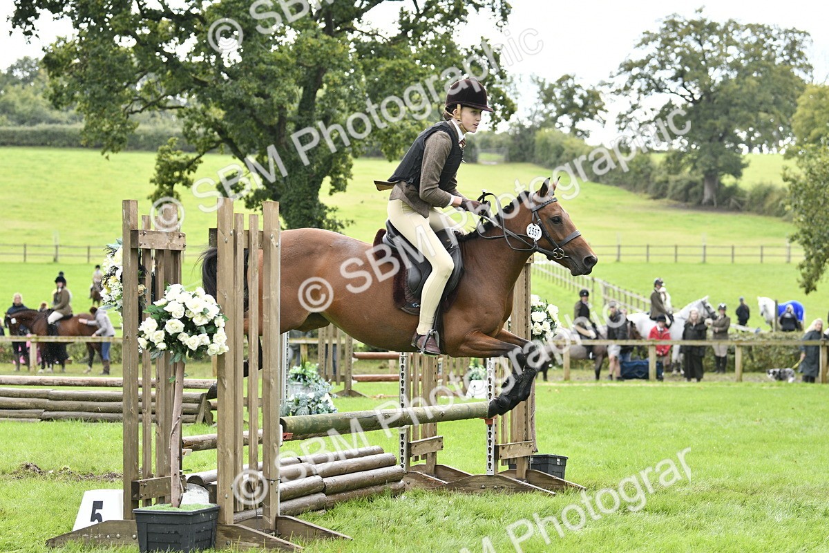 SBM_45611 - S33 - Working Hunter Pony