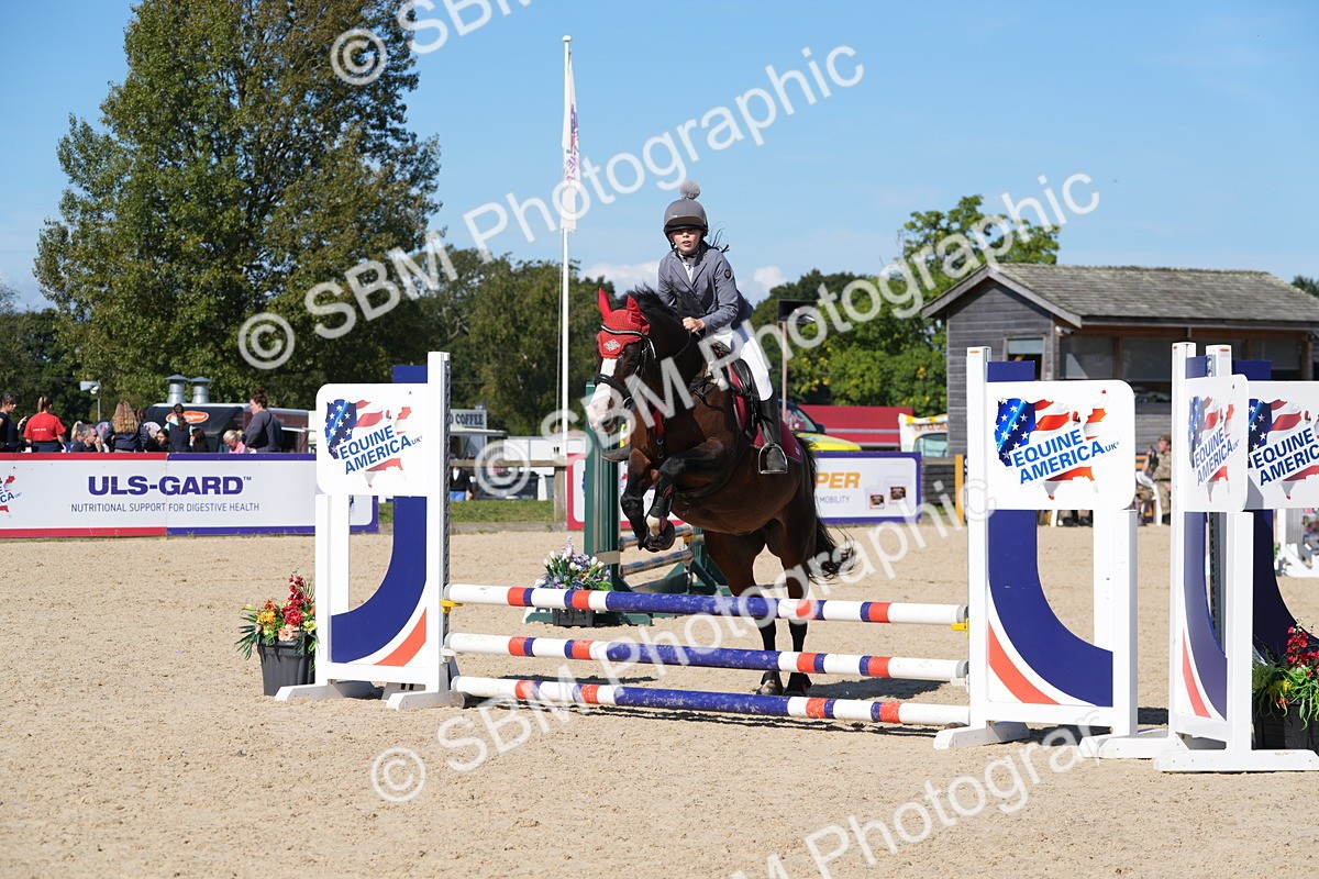 SBM_38733 - J21 - Junior Horse 60cm Championship