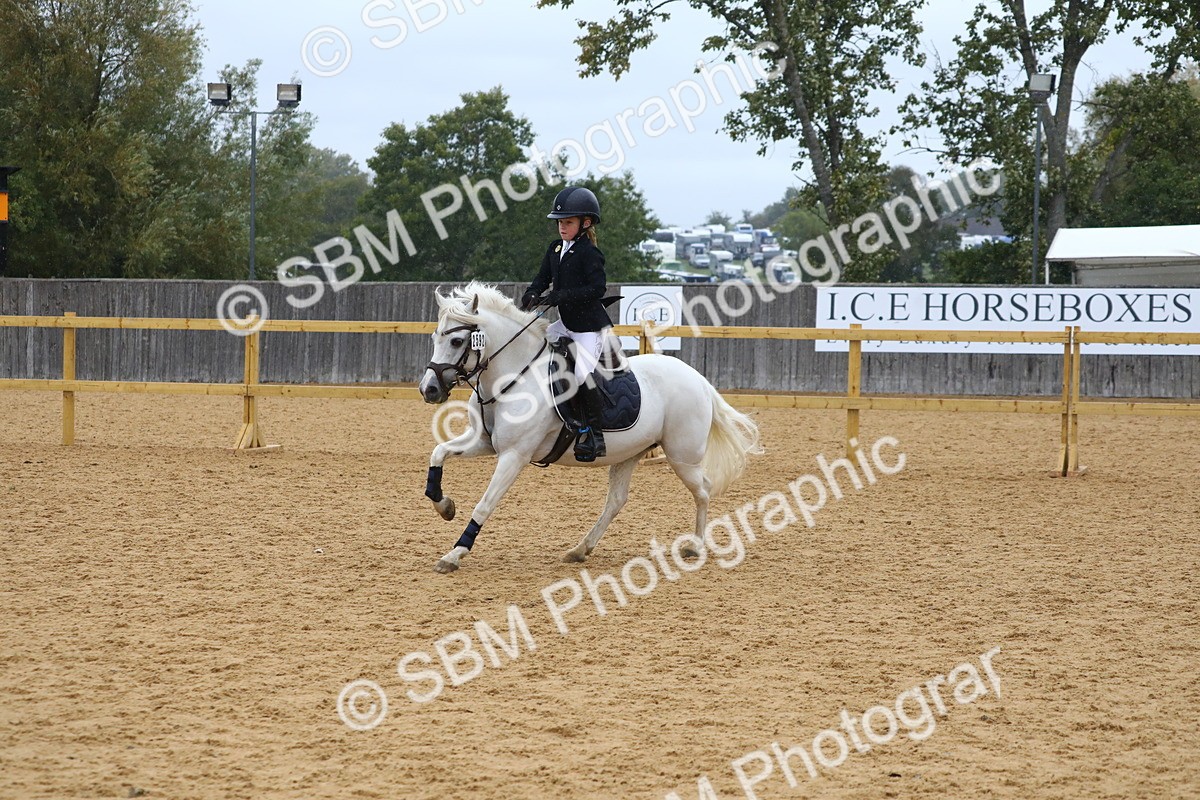 SBM_72037 - J3b - Mini Tour Junior Pony 40cm Championship