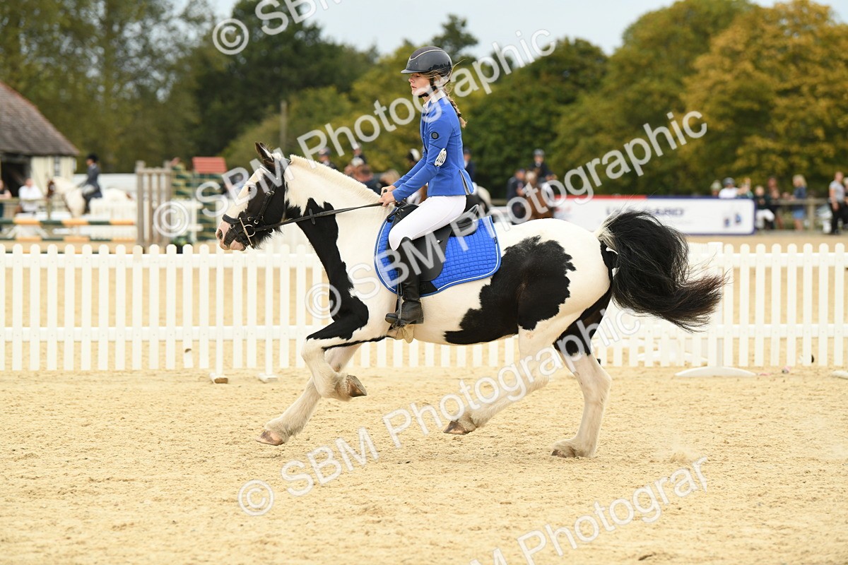 SBM_73036 - J16 - Junior Pony 75cm Championship